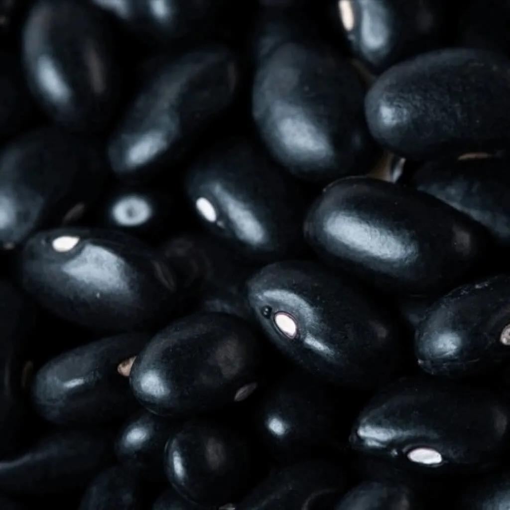 Black Beans, Food expert Christina Chuck, News Ingenia TEC