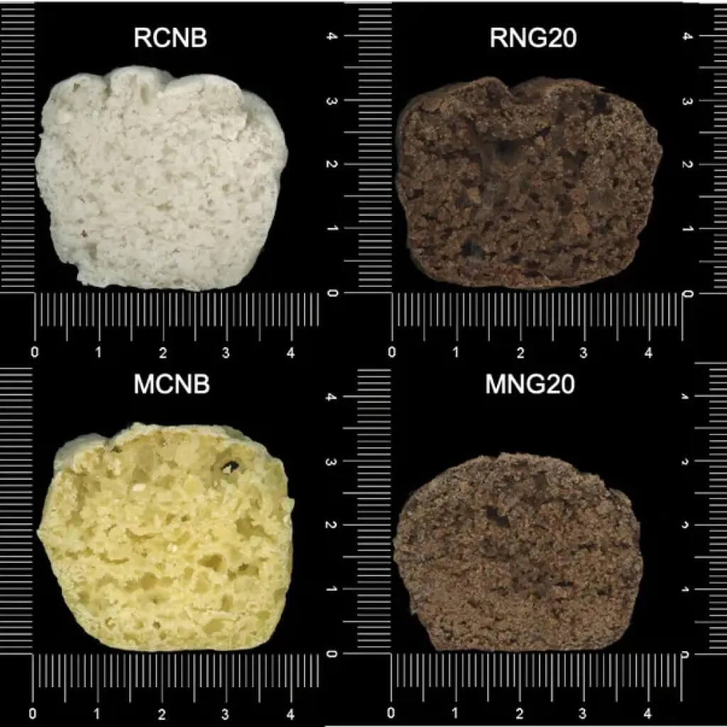 Is this the breakfast of the future? Bread made of BUGS & fungus created to fight food shortage – so would YOU try it?