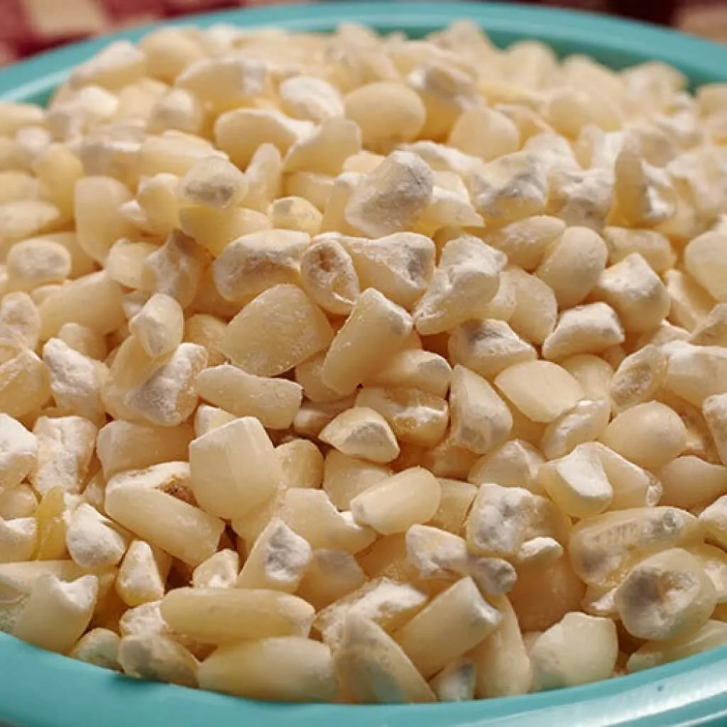 How to Make Corn Tortillas Sustainably?