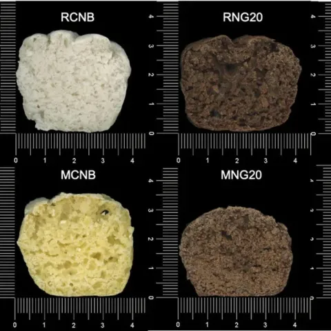 Is this the breakfast of the future? Bread made of BUGS & fungus created to fight food shortage – so would YOU try it?