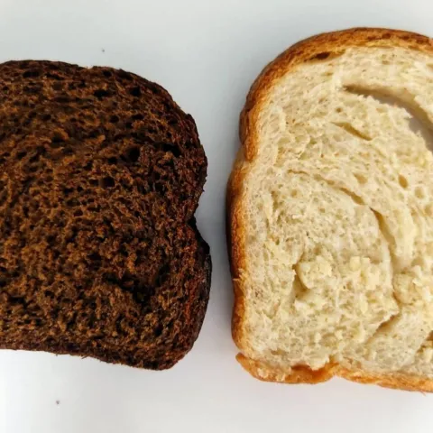 Bread made of GRASSHOPPERS mixed with mealworms and fungus created by scientists to fight global food crisis
