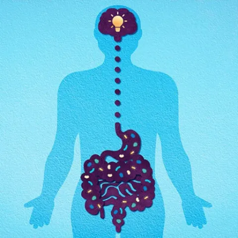 Psychobiotics