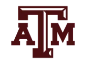University A&M Texas