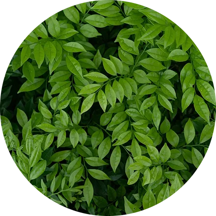 Climate and Sustainability Research Hub