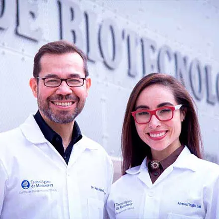 Internships or professional practices