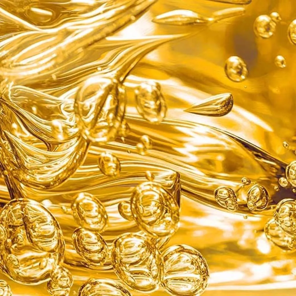 GNA, Innovation and Entrepreneurship TEC